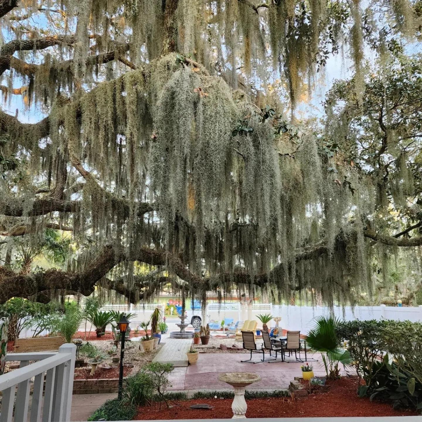 Tybee Island Inn Bed & Breakfast Exterior foto